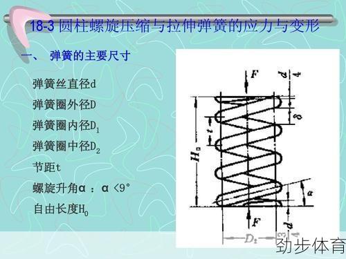 波纳尔弹簧和独立弹簧的区别(波纳文图拉)