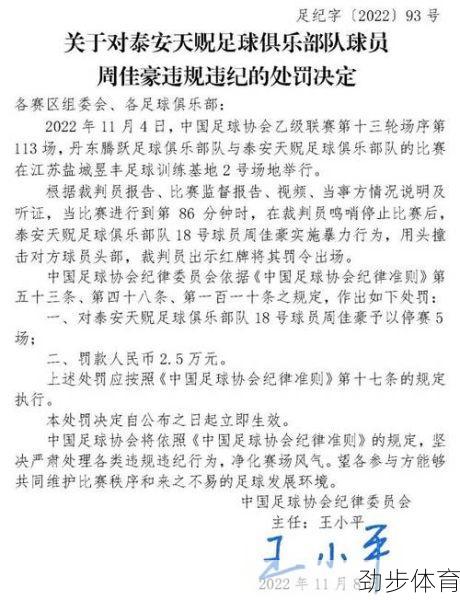 中乙联赛爆发球场暴力，多名球员冲突足协严厉处罚